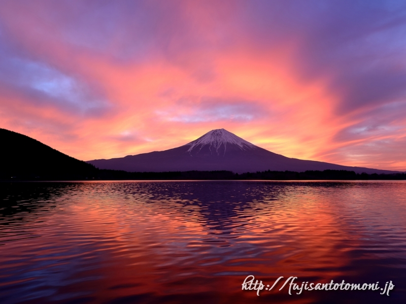 田貫湖から望む富士山／Photo by 富士山写真家 オイ