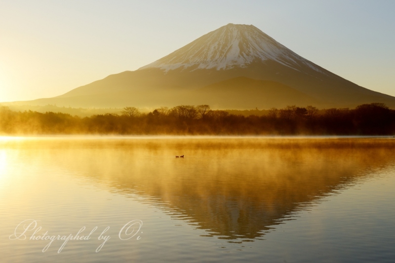精進湖より望む靄と富士山（逆さ富士）