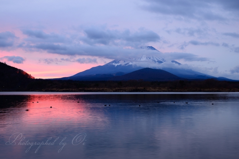 精進湖より望む富士山と朝焼け