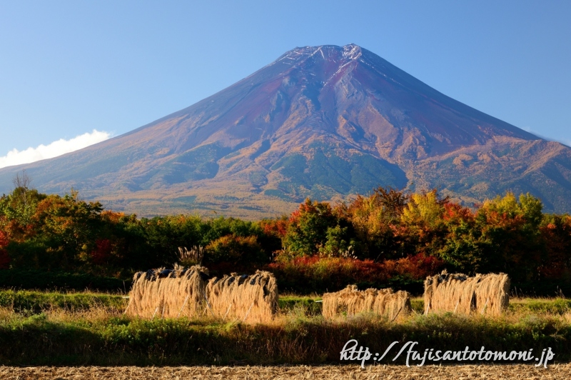 富士吉田市農村公園より望む秋の富士山
