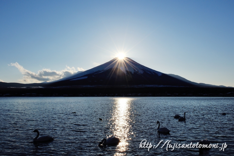 冬の絶景 山中湖で ダイヤモンド富士 を撮影する方法 ブログ 富士山とともに