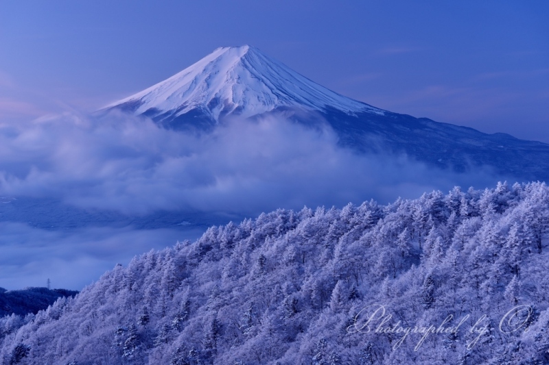 三ッ峠山より望む樹氷と富士山