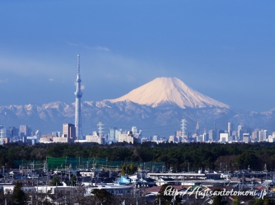 鎌ケ谷市役所から望む富士山と東京スカイツリー