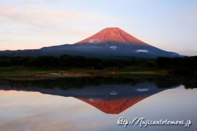 朝霧高原から望む赤富士