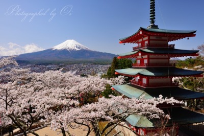 新倉山浅間公園の忠霊塔と桜と富士山（展望デッキより望む）