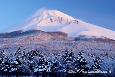 水ヶ塚より望む降雪後の富士山
