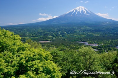 紅葉台より望む新緑と富士山