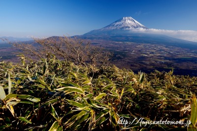竜ヶ岳より望む富士山／Photo by 富士山写真家 オイ