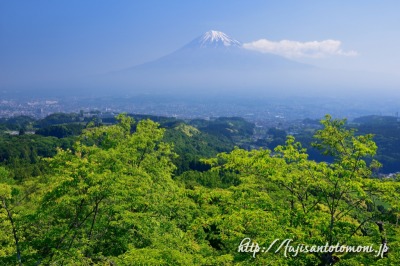 明星山より望む新緑と富士山