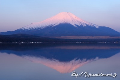 山中湖の紅富士