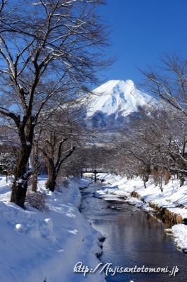 忍野村・新名庄川・お宮橋から望む富士山と雪景色