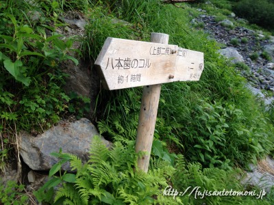 北岳左俣登山道の標識