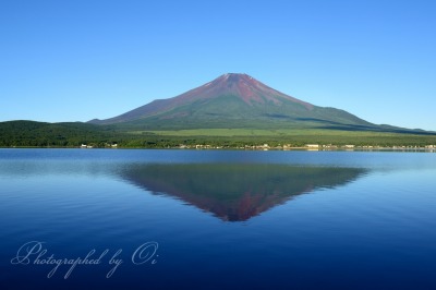 山中湖より望む夏の富士山