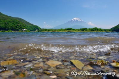 精進湖より望む富士山