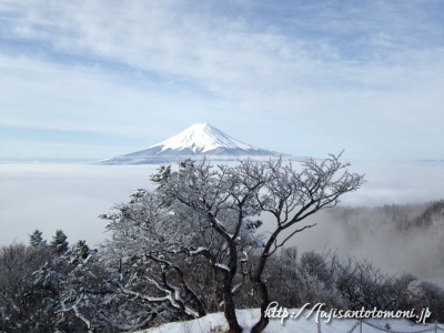 三つ峠の霧氷と富士山