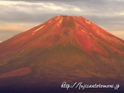 8月の富士山（高指山より撮影）