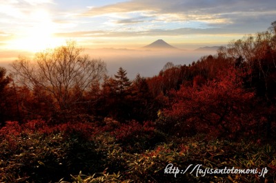 甘利山から望む紅葉と富士山