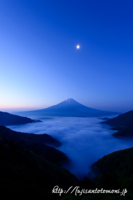 精進湖より望む雲海と富士山