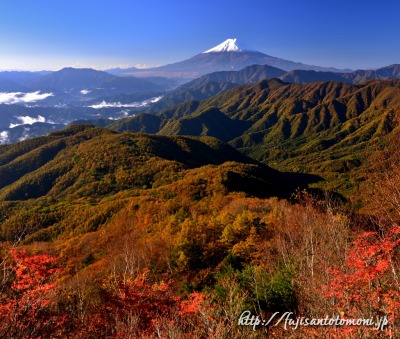雁ヶ腹摺山より望む紅葉と富士山