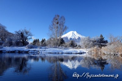 忍野村より望む雪景色と富士山