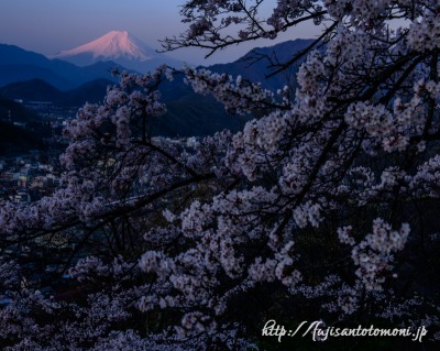 岩殿山より望む桜と富士山