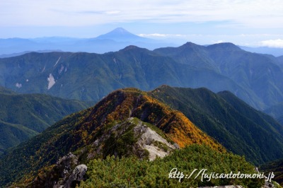 小赤石岳より望む紅葉と富士山
