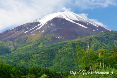新緑と冠雪の富士山