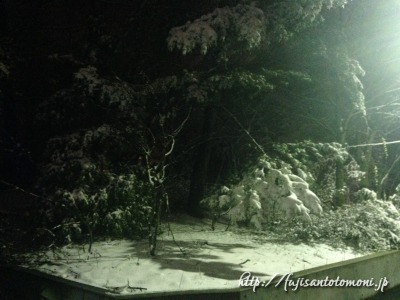 富士吉田市の樹氷