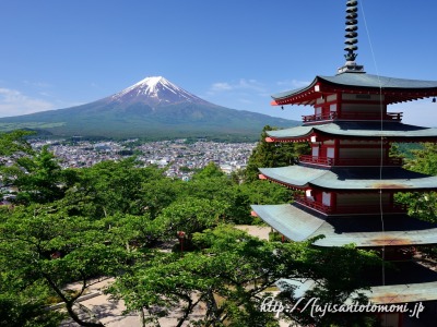 新倉山浅間公園の忠霊塔と新緑と富士山