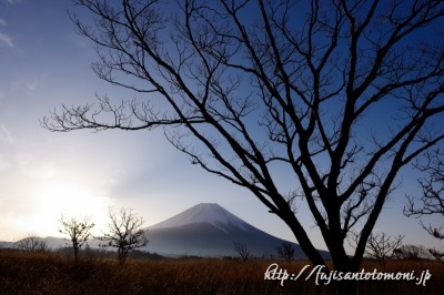 朝霧高原から夜明けの富士山