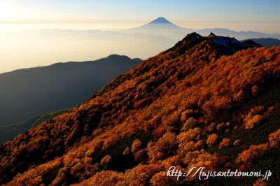 南アルプス・観音岳より望む紅葉と富士山