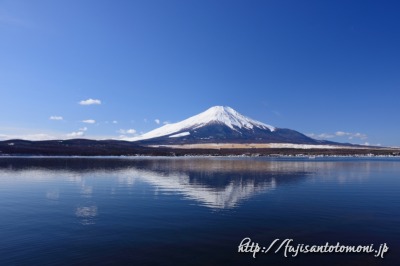 山中湖ママの森付近から見た富士山