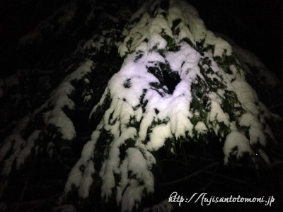 三つ峠登山道の降雪