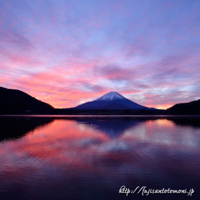 精進湖から望む朝焼けと富士山