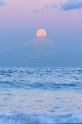 房総半島・館山から望む”ストロベリームーン”パール富士