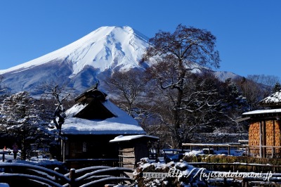 忍野八海から望む富士山