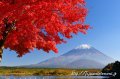 富士山写真家が狙う『富士山の一年』 毎月の作例付き徹底解説！の写真