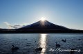 冬の絶景！山中湖で”ダイヤモンド富士”を撮影する方法の写真