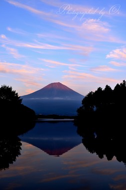 背後からの光に富士山と筋雲が染まった。  ― 静岡県富士宮市・田貫湖 2013年9月
