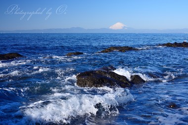 穏やかな海辺で波と戯れる。  ― 神奈川県横須賀市長井 2015年1月