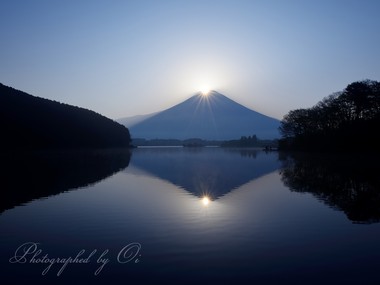 空気はぼんやりと。しかし光は眩しく。  ― 静岡県富士宮市・田貫湖 2015年4月