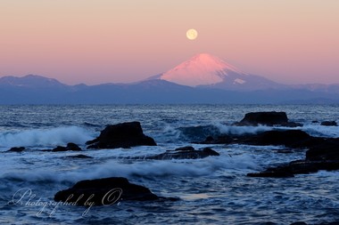 舞い降りる月と最高の紅富士が共演。  ― 神奈川県三浦市初声町三戸 2016年1月