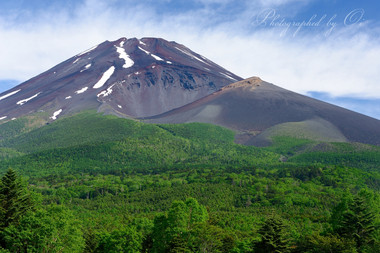 新緑の頃。富士山の緑が美しい。  ― 静岡県裾野市 2015年6月