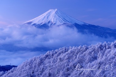 ＜1月＞ 「今日は良いよ」と富士山に呼ばれて登る。真っ白な樹氷に迎えられた。  ― 山梨県／三ッ峠山