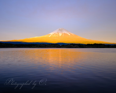黄金の輝きは100年に一度か  ― 静岡県富士宮市 2022年10月