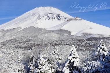 雪が降って富士山はすべて真っ白になった。  ― 静岡県裾野市 2016年11月