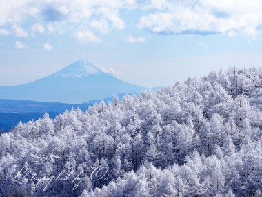 ＜12月＞ 白く凍りついた霧氷は圧巻の美しさ  ― 長野県・高ボッチ高原