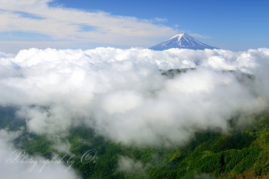 ＜5月＞ 新緑の稜線に真っ白な雲海が眩しい。富士山も涼しげな顔。  ― 山梨県大月市