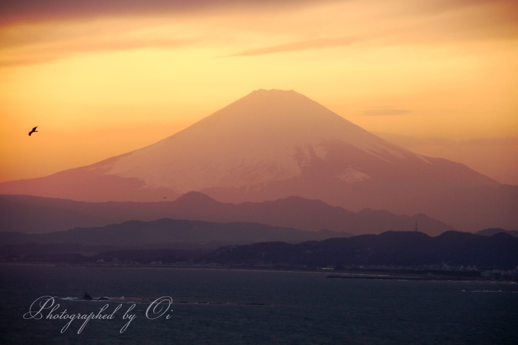 2011年3月6日撮影 江の島シーキャンドルの写真 『パステル富士』