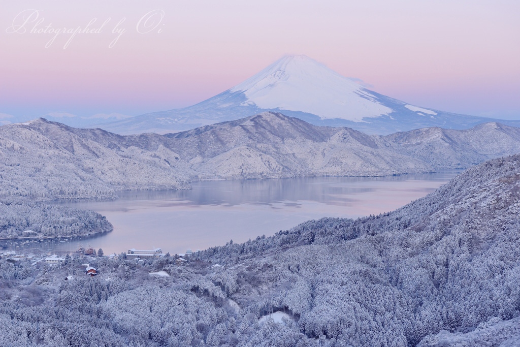 大観山の雪景色の写真̌̎待ち焦がれた白の町̏ - 箱根外輪山・芦ノ湖周辺エリア࿸神奈川ݼ・静岡ݼ࿹̍